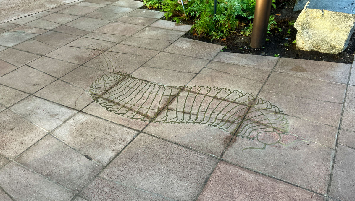 3.2 by 1.2m piece of visual precast concrete with paving slab pattern and a brass inlay of a prehistoric Millipede for the Natural history Museum, London